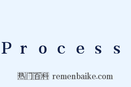 Process是什么意思的图片